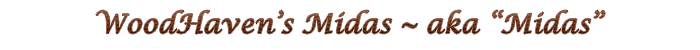 Midas title